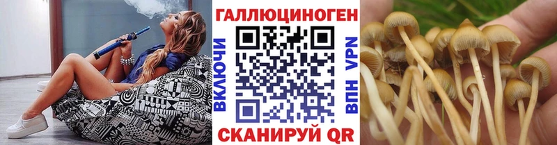 магазин  наркотиков  Усть-Лабинск  Галлюциногенные грибы MAGIC MUSHROOMS 
