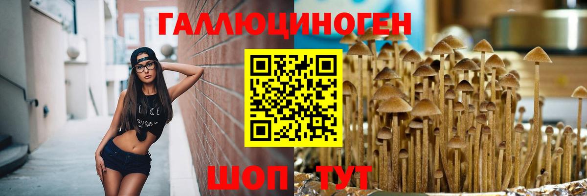 купить  цена  Псилоцибиновые грибы мухоморы  Вход с VPN  Галлюциногенные грибы Cubensis  Усть-Лабинск 